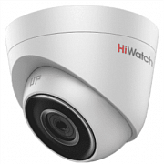 DS-I253 (2.8 mm)